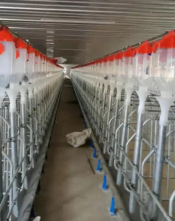 养殖厂上料输送管用不锈钢管